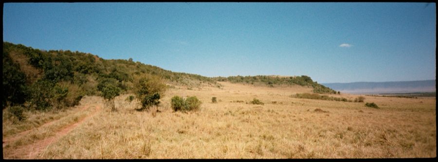 Maasai Mara