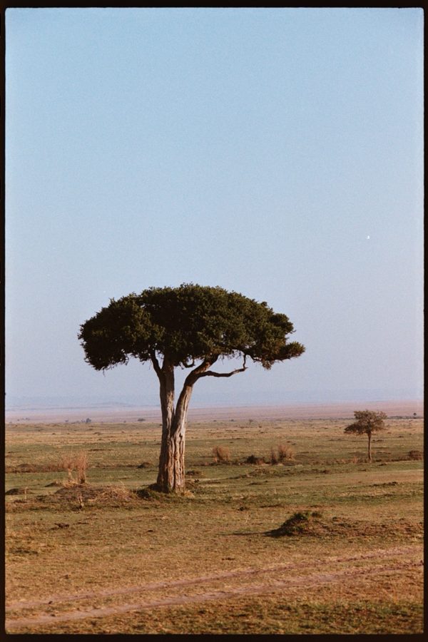 Maasai Mara