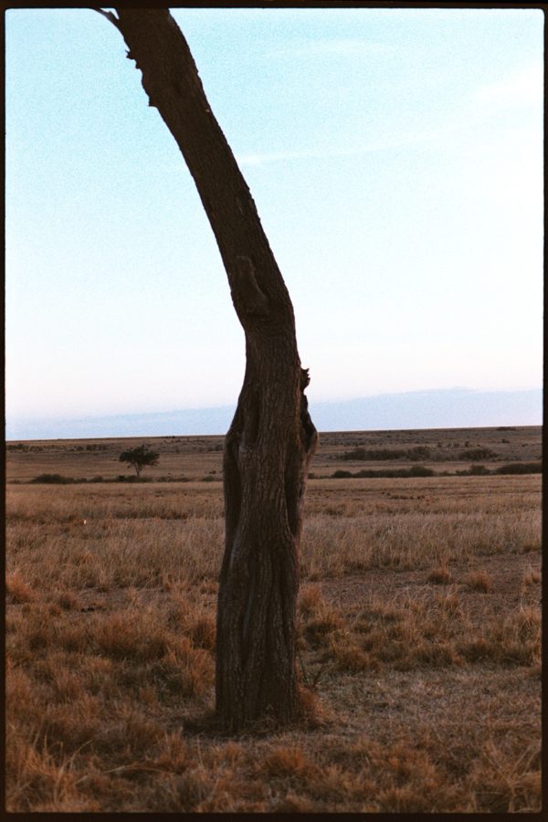 Maasai Mara