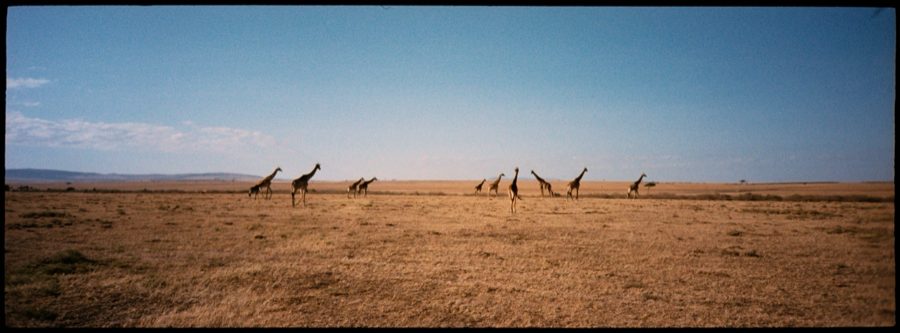 Maasai Mara