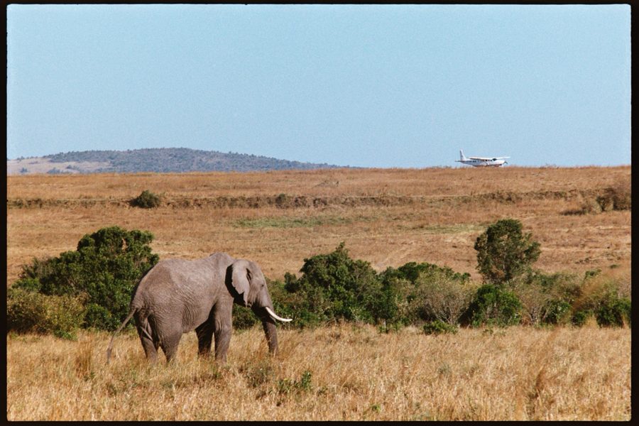 Maasai Mara