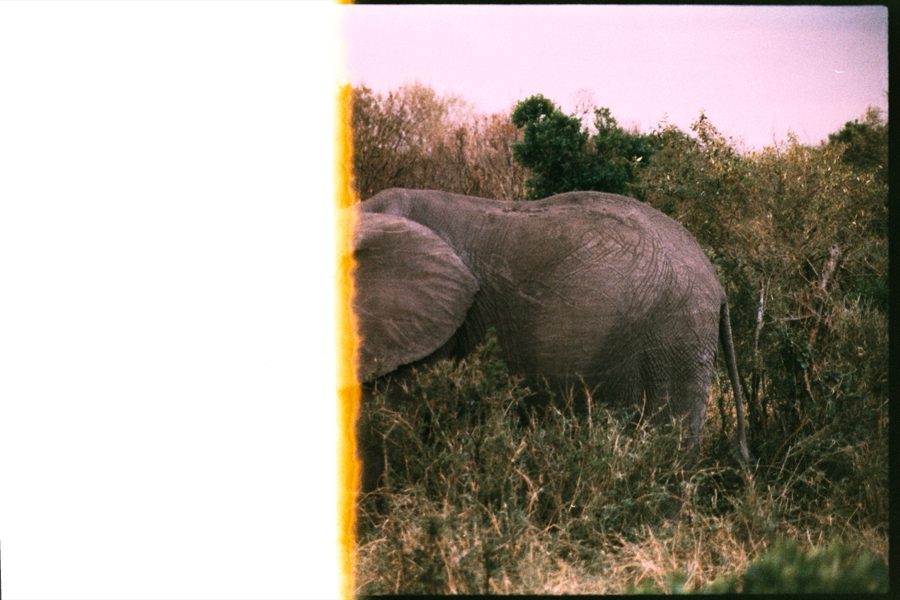 Maasai Mara